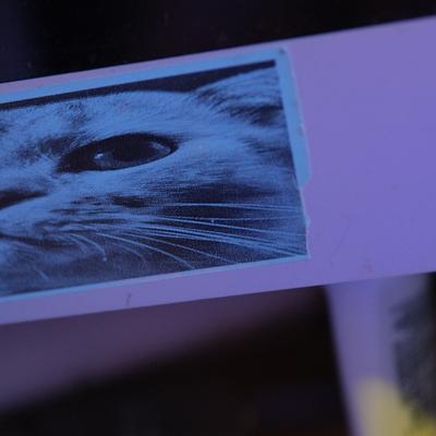 Наклейка Босфора на моем компе