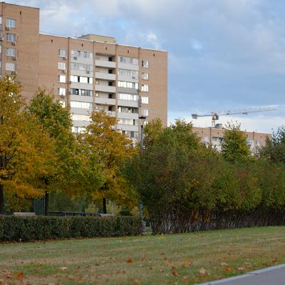 Осень но не очень красиво