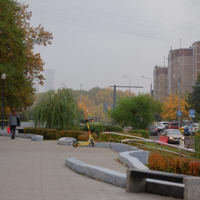 Лес в тумане (2 локации)