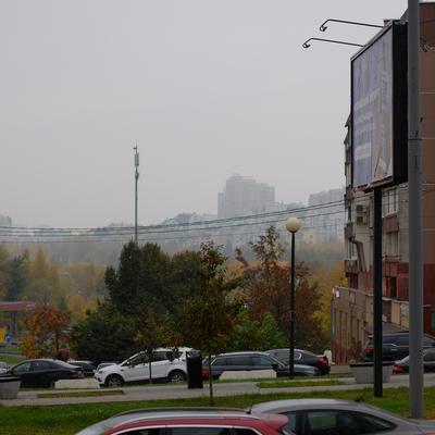 Человейники далеко