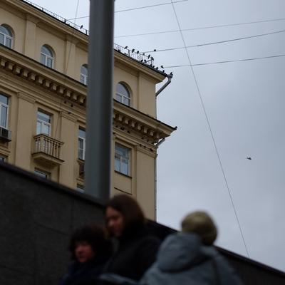 Серость грусть хз лол + кроп