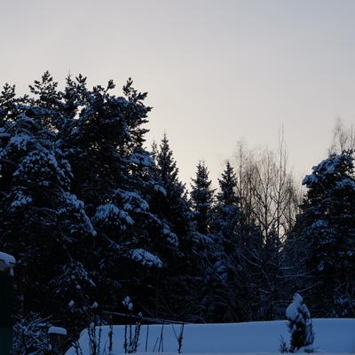 Новогодние ёлочки