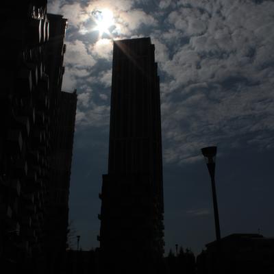 Человейник