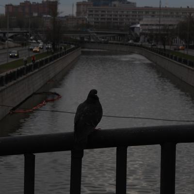 Россия для грустных